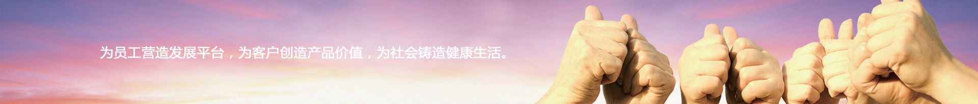 招聘职位